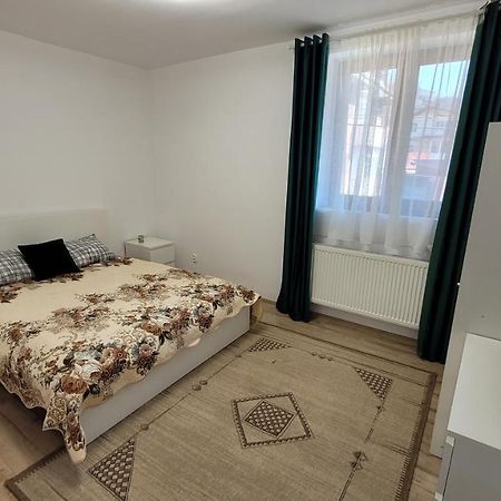 Andy Apartament Petroşani Buitenkant foto