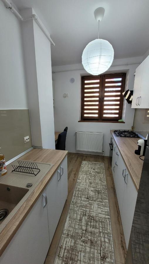 Andy Apartament Petroşani Buitenkant foto